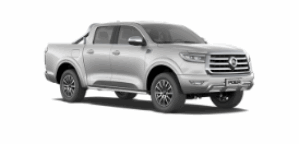 GWM POER AT 2025
