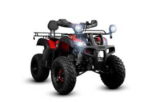 Vento reptile trek 2025