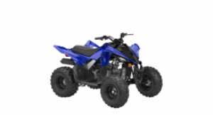 YAMAHA YFM110R 2024