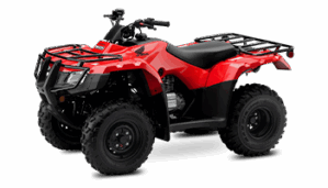 HONDA TRX250TM