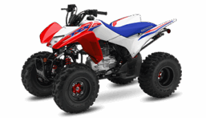 HONDA TRX250TM